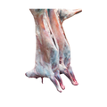 Agneau frais halal (entier ou moitié)