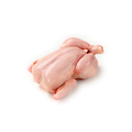 Poulet PAC halal (5pièces)