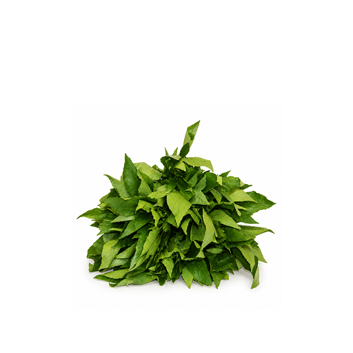 Feuille de bissap frais