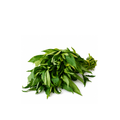 Feuilles fraiches de patate douce