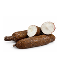 Manioc