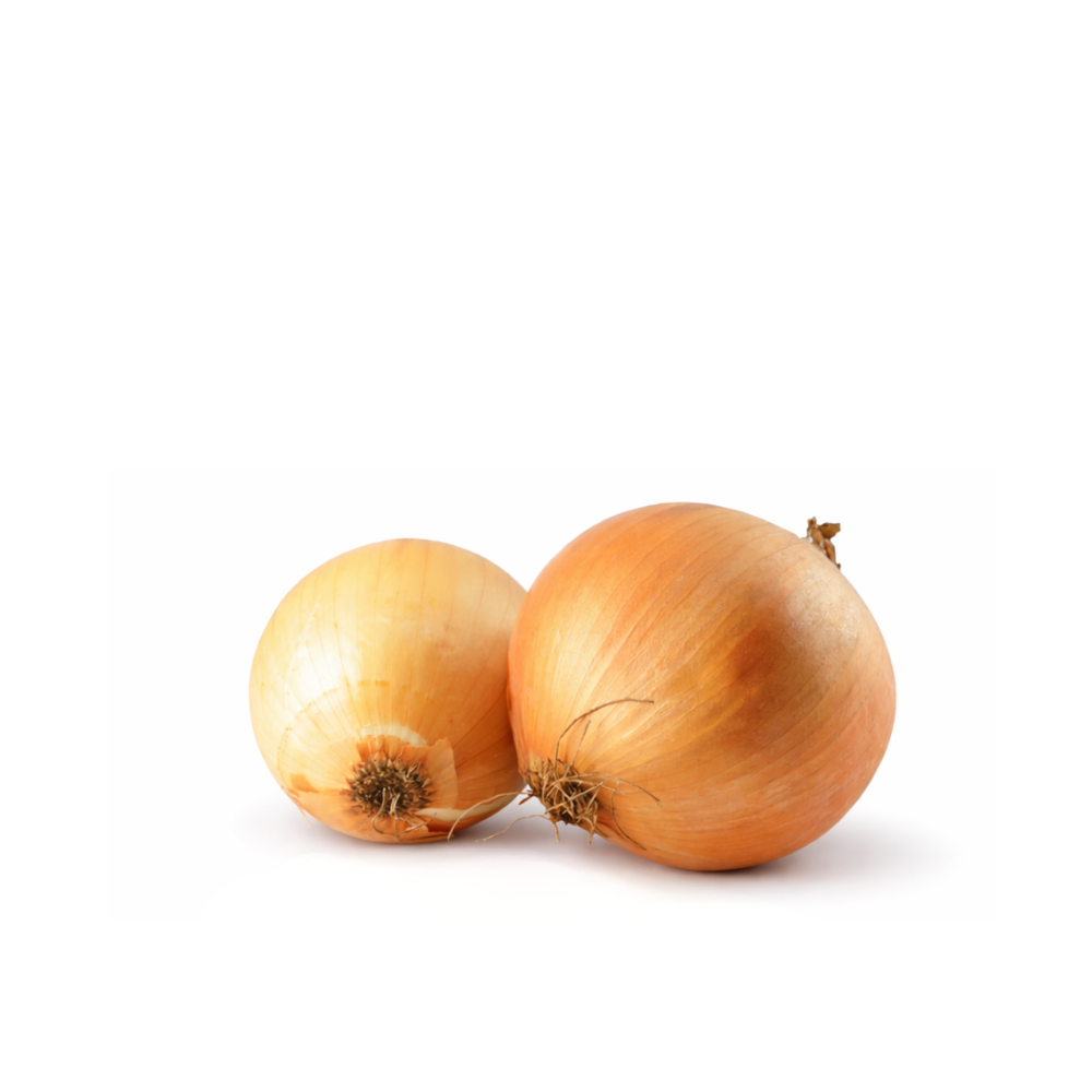 Oignon jaune (5kg)