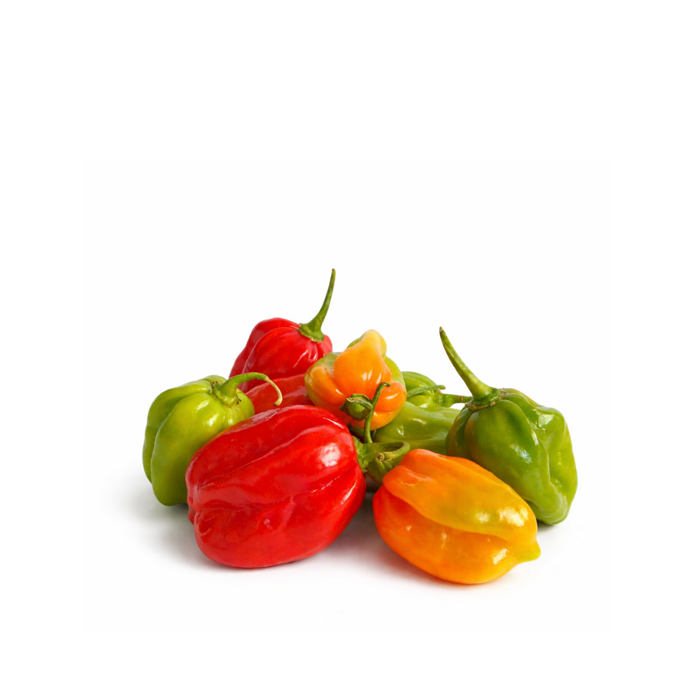 Piment antillais frais