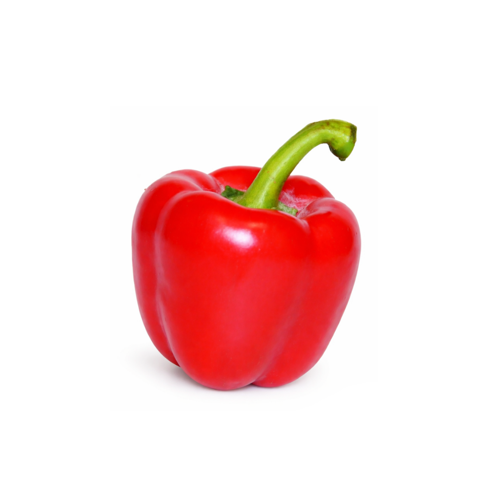 Poivron frais